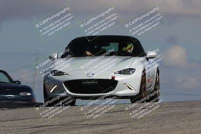 media/Mar-31-2024-Speed Ventures (Sun) [[a3b2bf813d]]/Purple/Session 2 (Grapevine)/